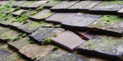 Worminghall roof repair costs